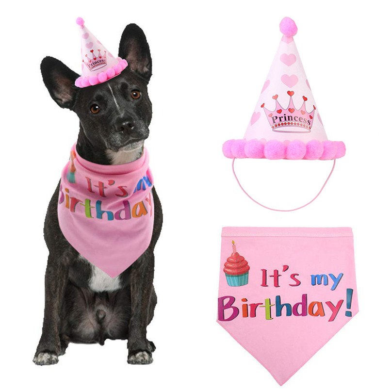 Pet Birthday Hat – Cute Party Cap for Cats & Dogs