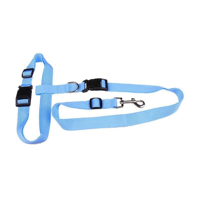 Hands-Free Dog Leash