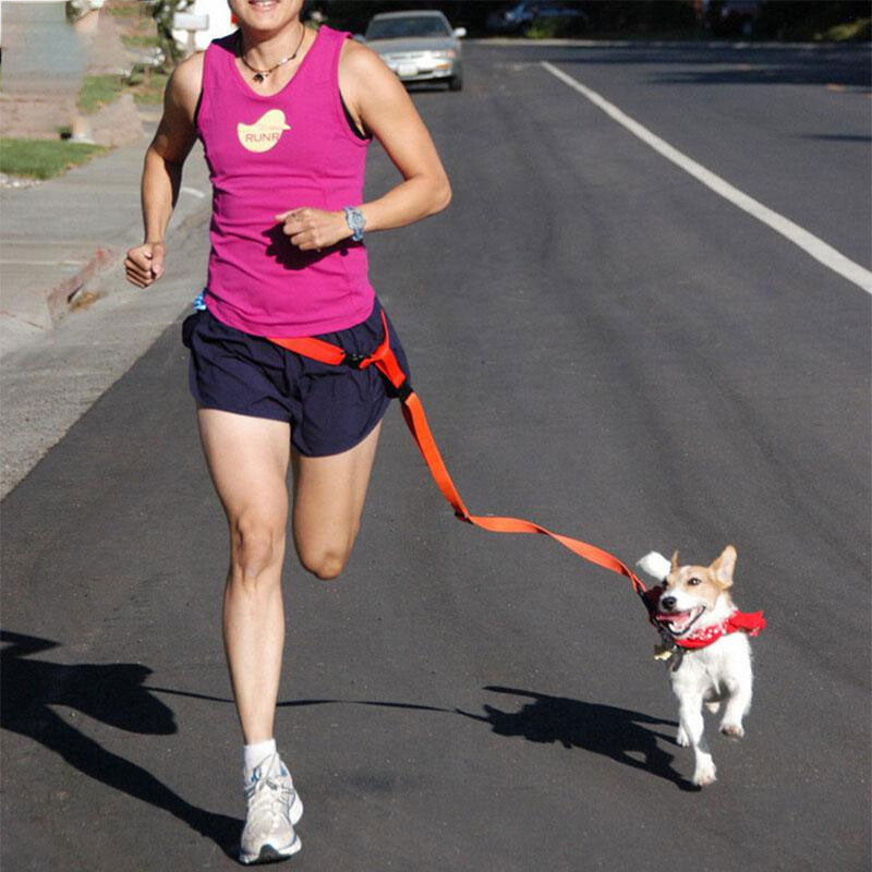 Hands-Free Dog Leash