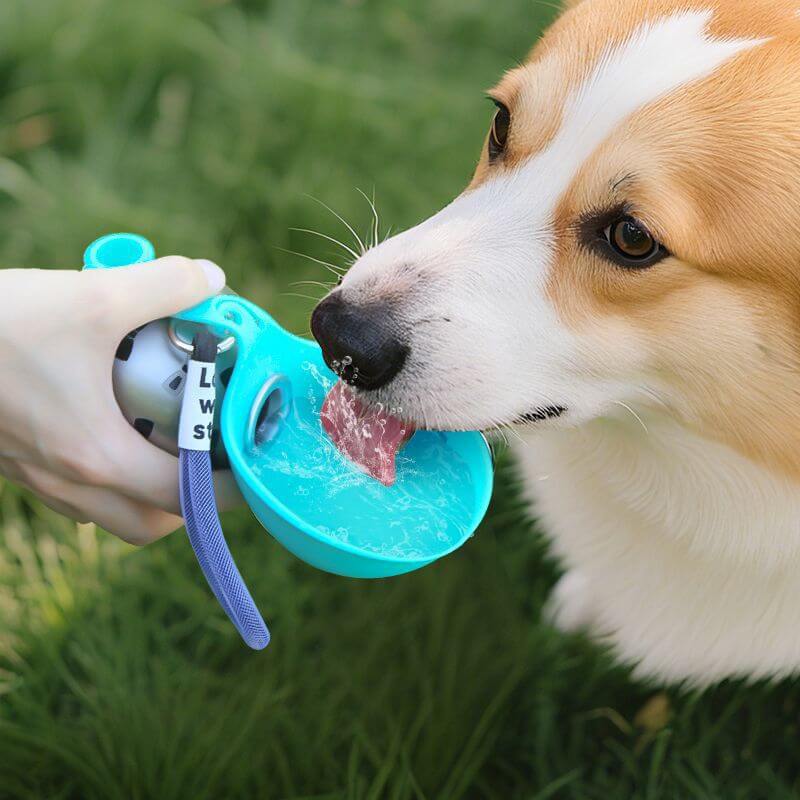 Portable Water Bottle for Dogs
