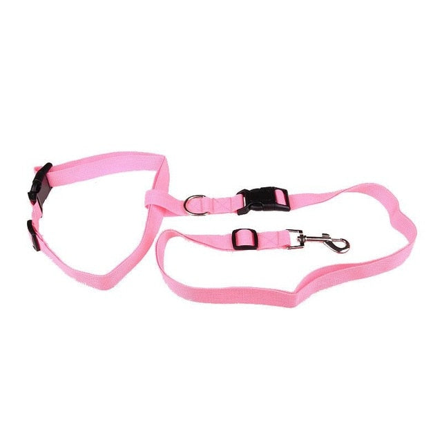Hands-Free Dog Leash