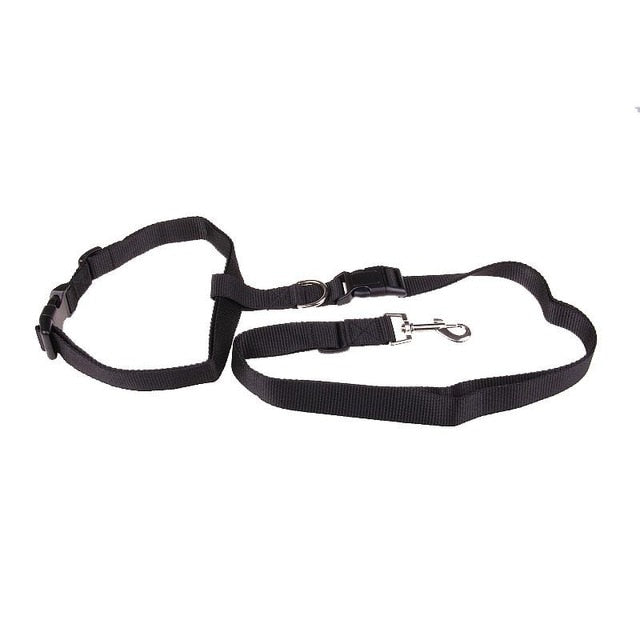 Hands-Free Dog Leash