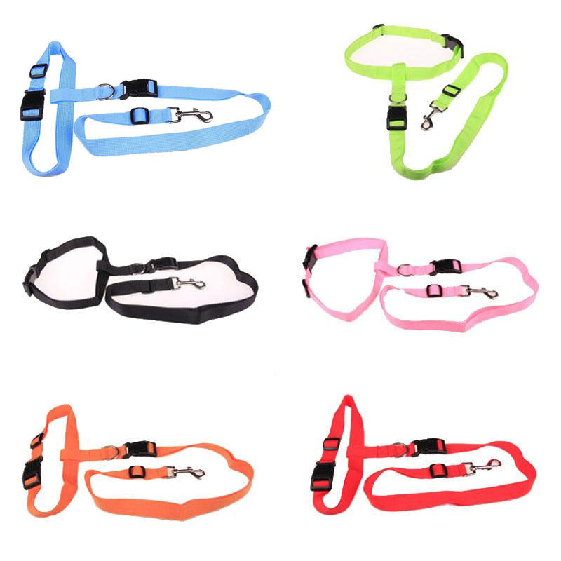 Hands-Free Dog Leash