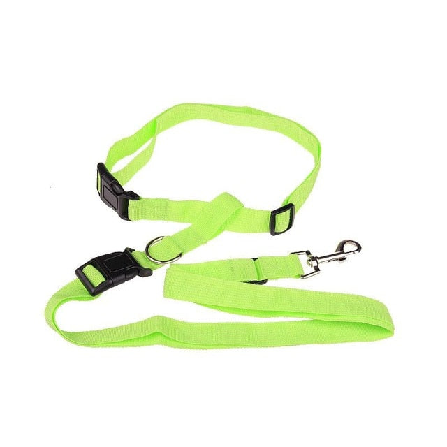 Hands-Free Dog Leash