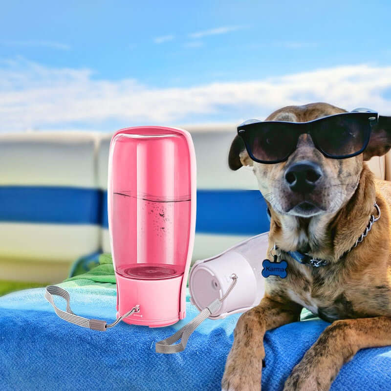 Portable Pet Water Bottle – Large Capacity Dog & Cat Dispenser