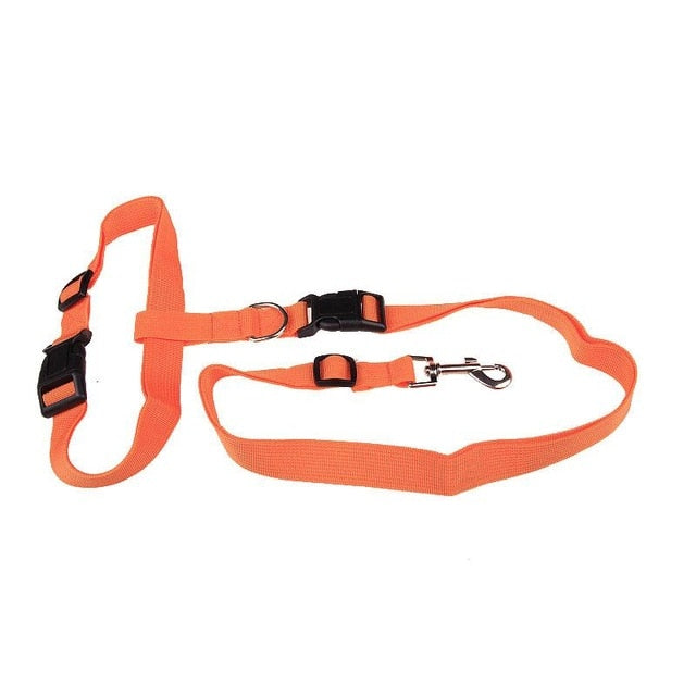 Hands-Free Dog Leash