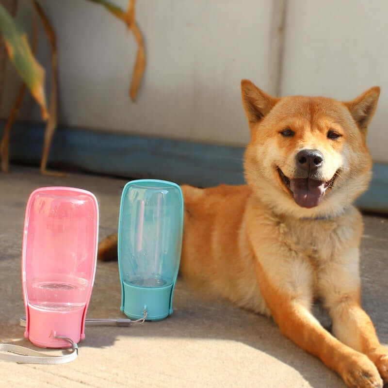Portable Pet Water Bottle – Large Capacity Dog & Cat Dispenser