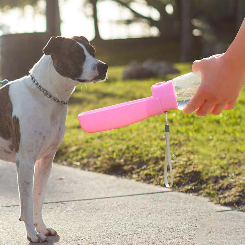Portable Pet Water Bottle – Large Capacity Dog & Cat Dispenser